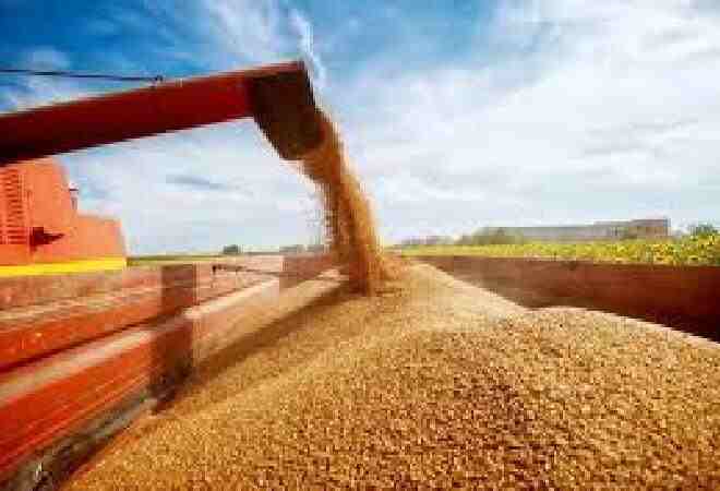 Астық экспорты 2 миллион тоннадан асты