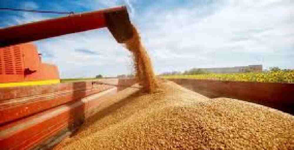 Астық экспорты 2 миллион тоннадан асты