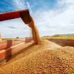 Астық экспорты 2 миллион тоннадан асты