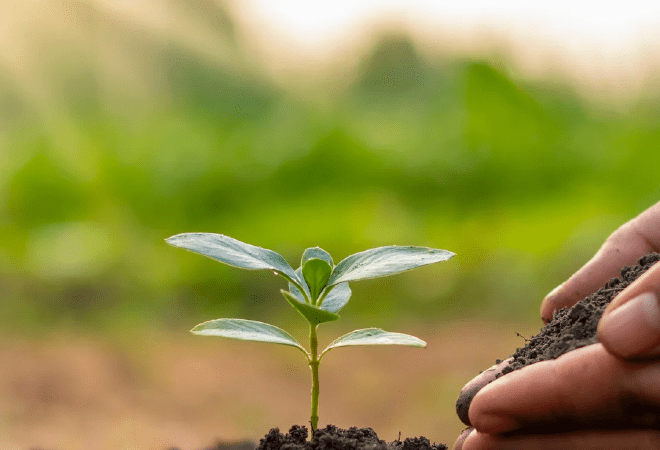 Новый инструмент поддержки фермеров — кредитные линии для аграриев