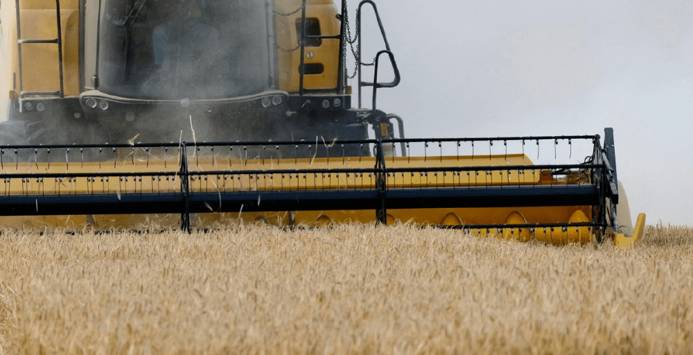 Казахстан поставил на экспорт порядка 2,2 млн тонн зерна нового урожая