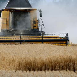 Казахстан поставил на экспорт порядка 2,2 млн тонн зерна нового урожая