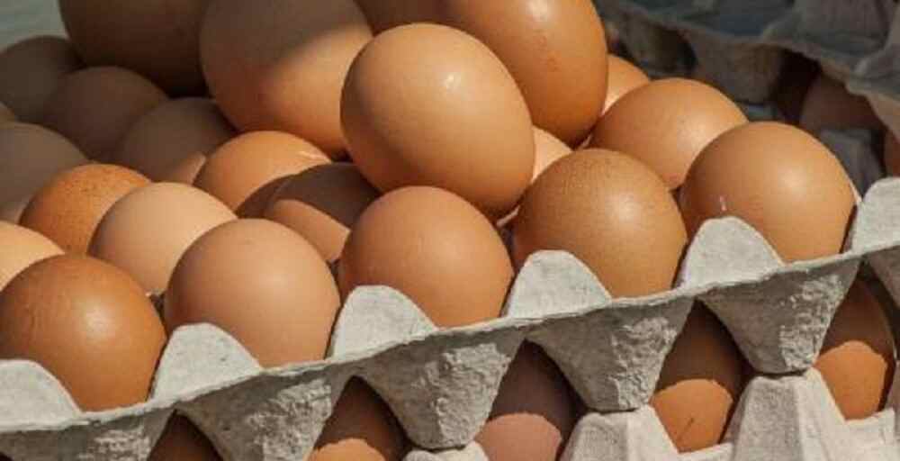 Ресейден әкелінген 63 мың жұмыртқа Қазақстанға кіргізілмеді