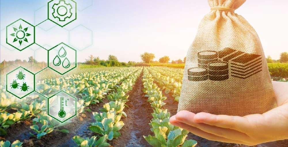 Шаруалардың қарыздары мен өсімпұлдары кешіріледі 