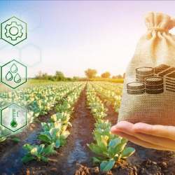 Шаруалардың қарыздары мен өсімпұлдары кешіріледі 