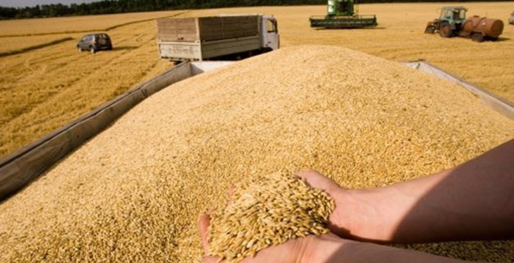 Қазақстан алғаш рет Алжирге ірі көлемде бидай экспорттады