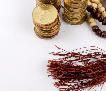 В проект закона о банках не включили исламскую ипотеку — глава Отбасы Банка