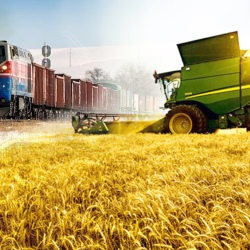 Қазақстан мен Өзбекстан астық тасымалын ұлғайтуға келісті