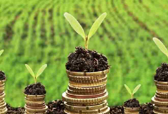 «Ауыл аманаты» несиелері өз мақсатына жетпеген – Аудит қорытындысы 