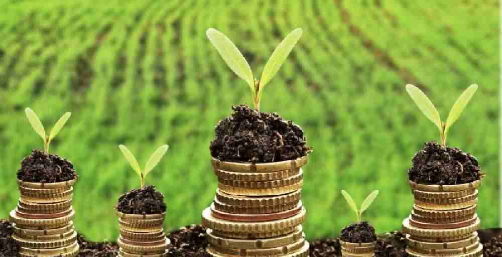 «Ауыл аманаты» несиелері өз мақсатына жетпеген – Аудит қорытындысы 