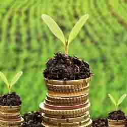 «Ауыл аманаты» несиелері өз мақсатына жетпеген – Аудит қорытындысы