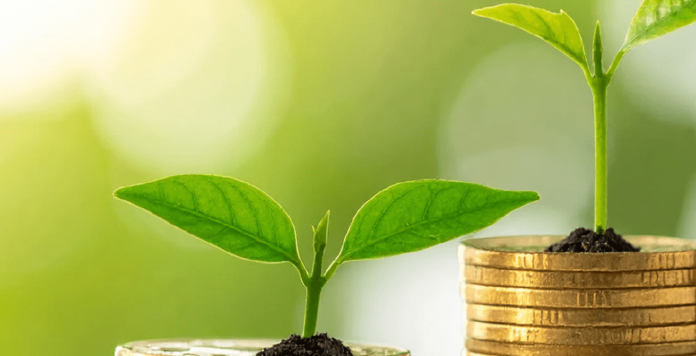 Казахстанцы уходят в тенге и выбирают срочные депозиты