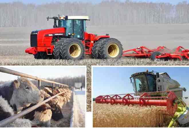 Елде аграрлық саланың дамуы жеделдеді: 1 трлн теңге қолдау бөлінді