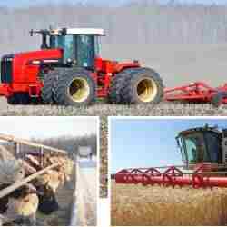 Елде аграрлық саланың дамуы жеделдеді: 1 трлн теңге қолдау бөлінді