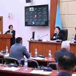 Агенттік Мәжілісте Рейтингтік қызмет туралы заң жобасын таныстырды