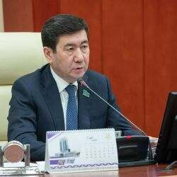 «Биыл 100 заң қабылданды»: Мәжіліс жылды қорытындылады