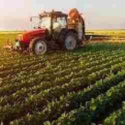 Аграрлық салада серпіліс: инвестиция 790 млрд теңгеге жетті