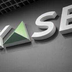 Казахстанская фондовая биржа может ввести расчеты в евро