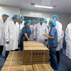 Елімізде төрт жаңа фармацевтикалық зауыт салынады