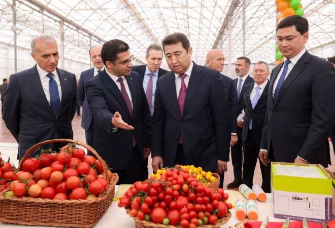 Шымкентте 69 млрд теңгелік заманауи жылыжай кешені салынады