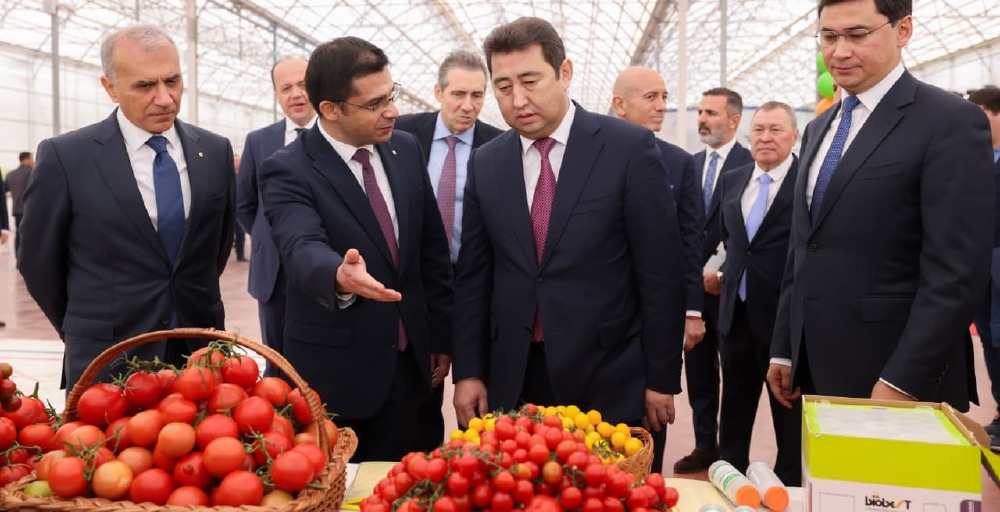 Шымкентте 69 млрд теңгелік заманауи жылыжай кешені салынады