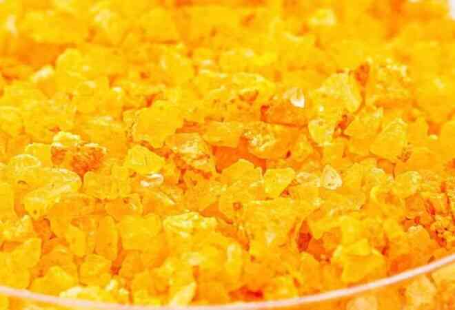 Қазақстанда желатин мен коллаген өндіретін зауыт салынады 