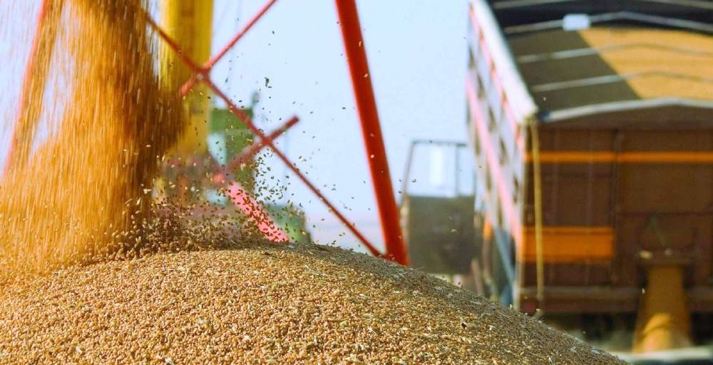 Астық экспорты бір жылда 1 млн тоннаға артты