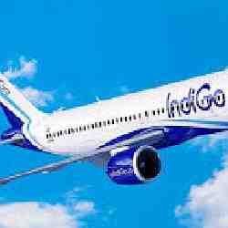 IndiGo Алматыға рейстерін уақытша тоқтатты