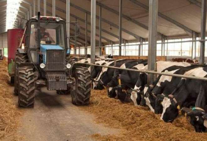 Соңғы 5 жылда ауыл шаруашылығы кооперативтерінің саны 1,5 есе артты