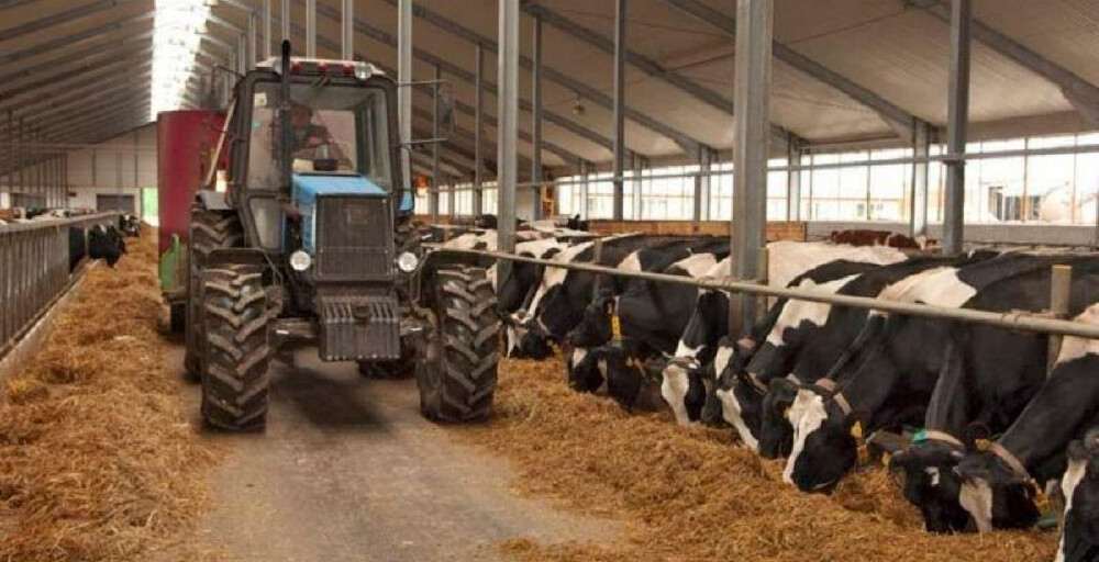 Соңғы 5 жылда ауыл шаруашылығы кооперативтерінің саны 1,5 есе артты