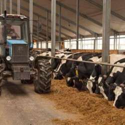 Соңғы 5 жылда ауыл шаруашылығы кооперативтерінің саны 1,5 есе артты