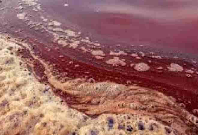 Ақмола облысында экологияны ластаған кәсіпорынға айыппұл салынды