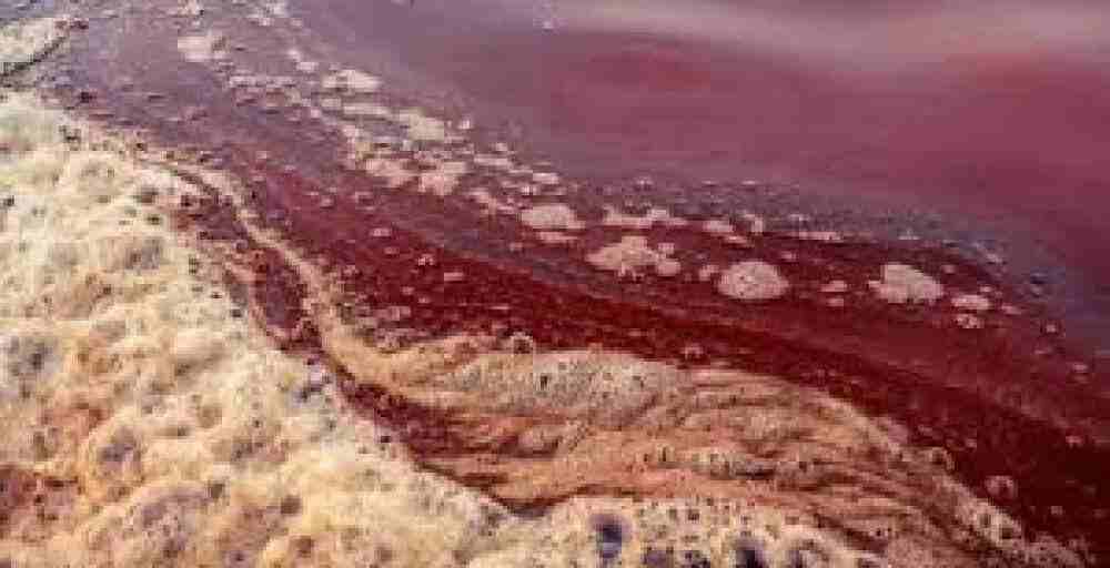 Ақмола облысында экологияны ластаған кәсіпорынға айыппұл салынды