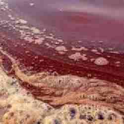 Ақмола облысында экологияны ластаған кәсіпорынға айыппұл салынды