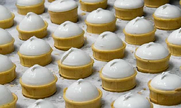 Қазақстан 2025 жылы Ресейден 6 мың тонна балмұздақ сатып алды 