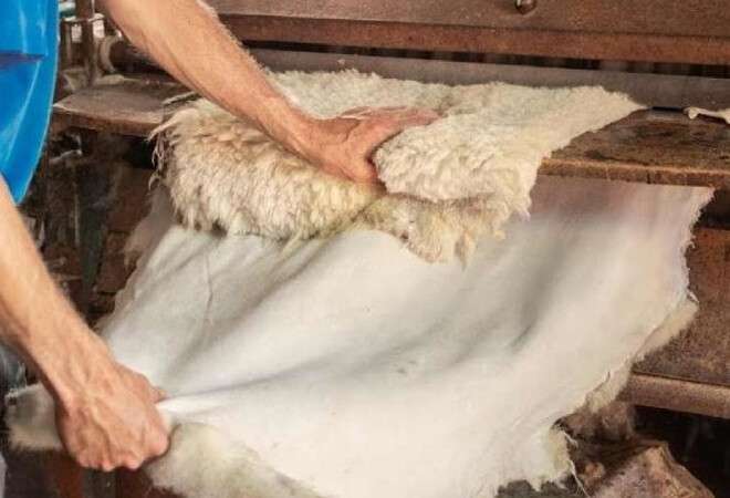  Тері мен жүн өңдеу: елде 9,9 млрд теңгенің инвестициялық жобалары жүзеге асады