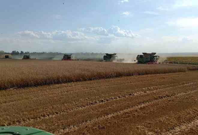 Елдегі жалпы егіс алаңы 23,8 млн гектар болады