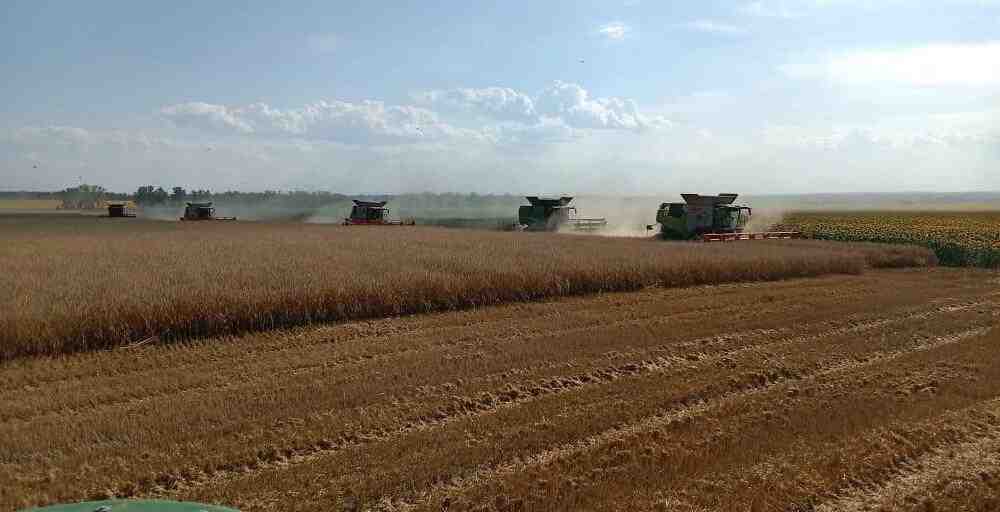 Елдегі жалпы егіс алаңы 23,8 млн гектар болады