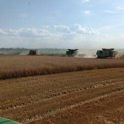 Елдегі жалпы егіс алаңы 23,8 млн гектар болады