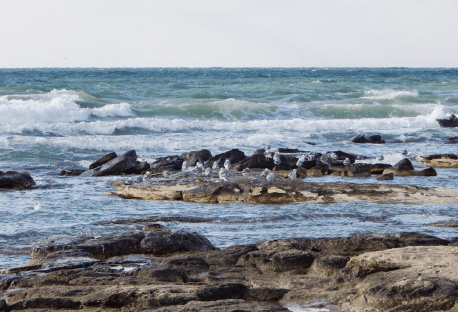 Каспийді зерттеуге 1,1 млрд теңге бөлінді