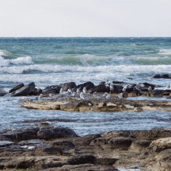 Каспийді зерттеуге 1,1 млрд теңге бөлінді