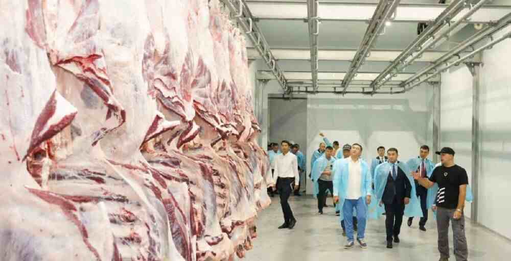 Министрлік: сиыр етін экспорттауға квота бар, тыйым жоқ
