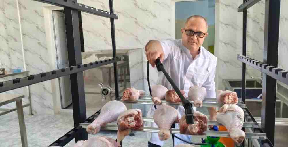 Ғалымдар құс етін үш есе ұзақ сақтайтын технология жасады