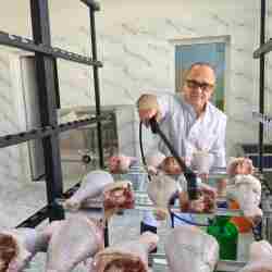 Ғалымдар құс етін үш есе ұзақ сақтайтын технология жасады