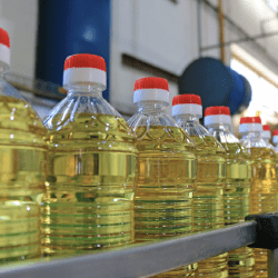 Көкшетау қаласында ірі май өңдеу зауыты салынады