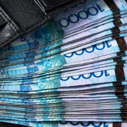 Более 67 тысяч предпринимателей смогут списать пени и штрафы по налоговой амнистии