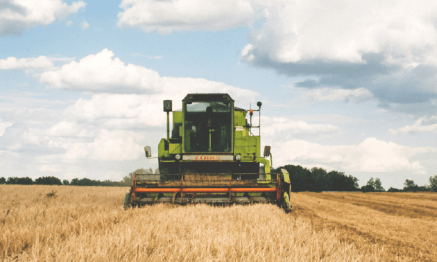 Как ФАО оценивает развитие АПК в Казахстане  