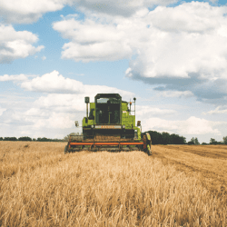 Как ФАО оценивает развитие АПК в Казахстане  