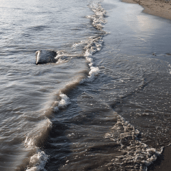 Прокладка энергокабеля по дну Каспия: два банка готовы выделить финансирование