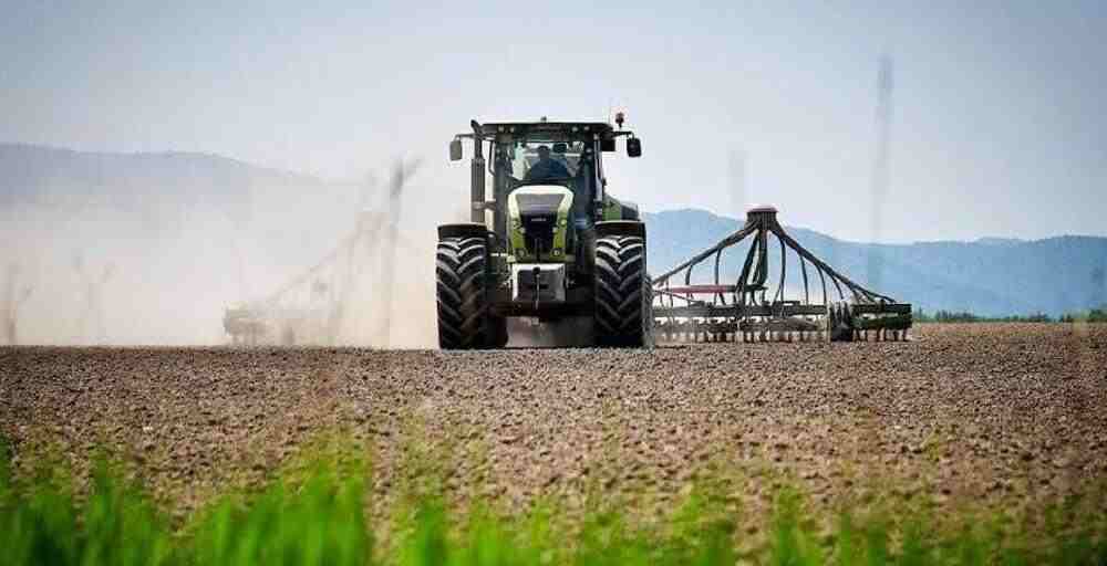 Алматы облысында 438 мың гектар жерге егін егу жоспарланып отыр